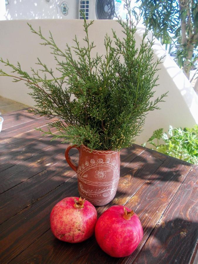 Nyfes Traditional Boutique Frosyni Skyros Zewnętrze zdjęcie