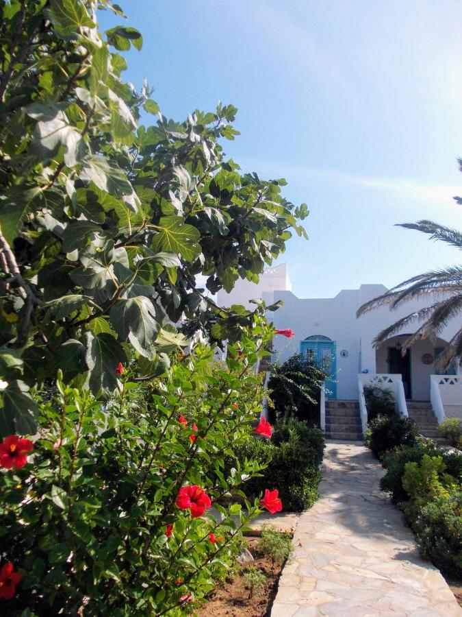 Nyfes Traditional Boutique Frosyni Skyros Zewnętrze zdjęcie