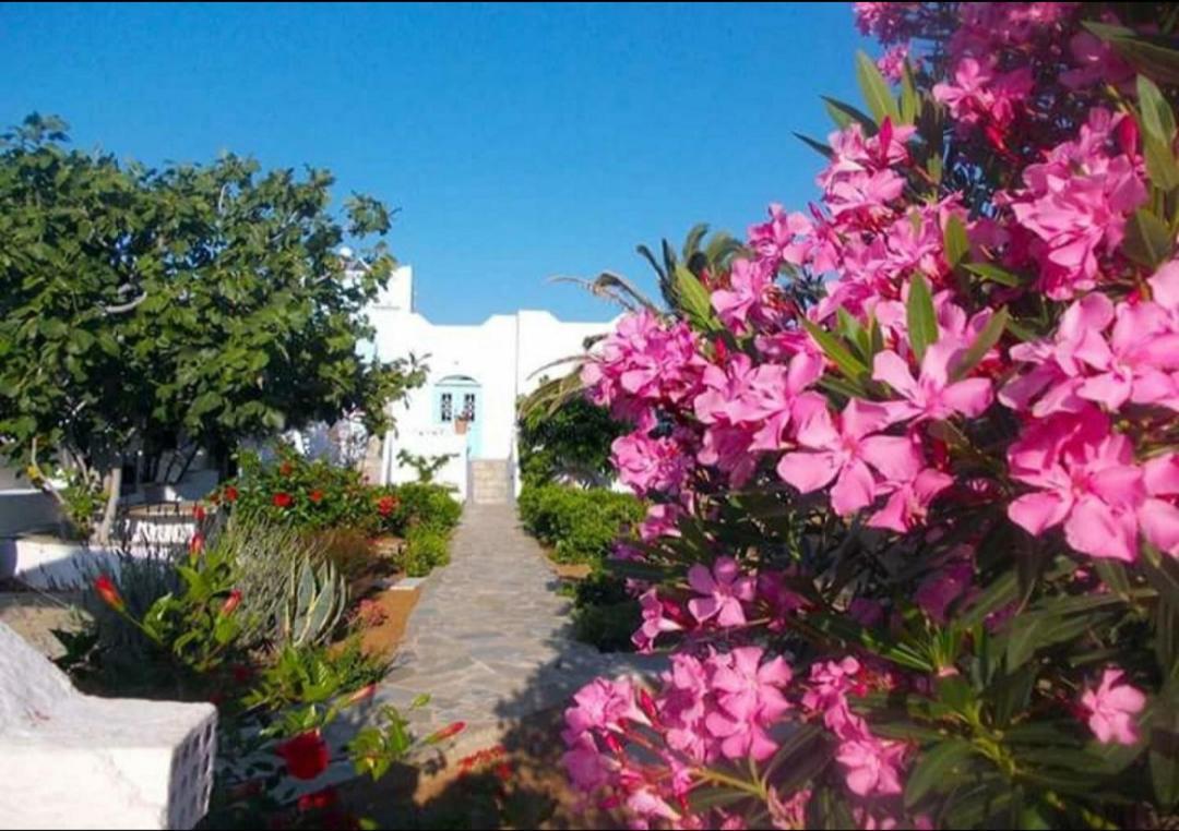 Nyfes Traditional Boutique Frosyni Skyros Zewnętrze zdjęcie